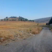 فروش زمین ۱۵۰۰ متری صنعتی تک برگ|فروش زمین و ملک کلنگی|چرداول, |دیوار