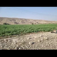 ۳تا ۲۵ هکتار اجاره زمین کشاورزی