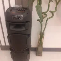 اسپیکر|سیستم صوتی خانگی|اسفراین, |دیوار