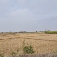 زمین-کشاورزی-معاوضه-با-خودرو