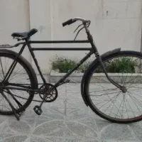 دوچرخه بزرگسال فونیکس