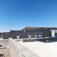 اجاره-گاوداری