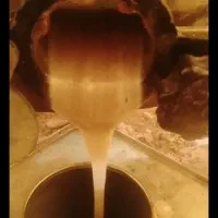 عسل کنار خالص