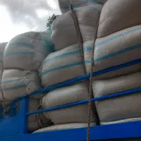 کاه|خدمات باغبانی و درختکاری|شادگان, |دیوار