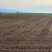 اجاره زمین کشاورزی در جاده شیره جین با حق آبه ۵ سا