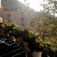 تهاتر-مغازه-با-مسکونی