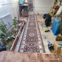 فرش با ابعاد ۵/۵×۱/۱۰ فروش فوری|فرش|خرمدره, |دیوار