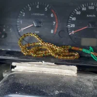 تسبیح سندلولس