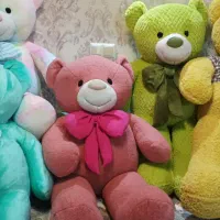 خرس|اسباب‌‌بازی|اردبیل, |دیوار