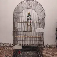 قفس طول 90 عرض 45