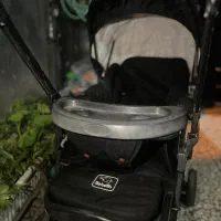 کالسکه|کالسکه و لوازم جانبی|رشت, پاستوریزه|دیوار