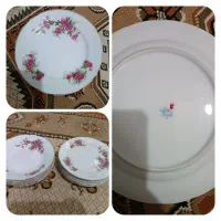 سرویس چینی گل قرمز|ظروف سرو و پذیرایی|کاشان, گارزگاه|دیوار