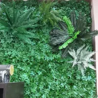 چمن مصنوعی دیوارسبز قلوه سنگ اکاردئونی و.فنس|مصالح و تجهیزات ساختمان|نجفآباد, ویلاشهر|دیوار