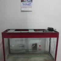 آکواریوم