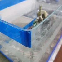 آکواریوم شیشه خم|ماهی|نظرآباد, رسالت|دیوار