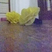 گل سر عمده وتکی فقط ۳۰ تومن
