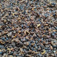 کشمش آفتابی