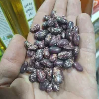 کشمش بندی امسالی ۳۷۰ ت|خوردنی و آشامیدنی|گلپایگان, |دیوار