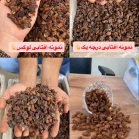 کشمش بیدانه