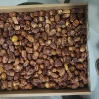 خرما زاهدی درجه ۲ کارتن ۸ کیلویی