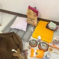 لوازم کامل سگ پت حیوان خانگی
