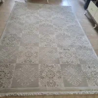 فرش ۶ متری طرح خشتی رنگ روشن|فرش|رشت, کاکتوس|دیوار