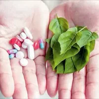 آموزش طب سنتی و درآمد زایی مخصوص بانوان