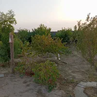 باغ|فروش خانه و ویلا|مشهد, درزآب|دیوار