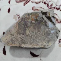 سنگ شجر|کلکسیون اشیاء عتیقه|سردرود, |دیوار