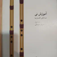 کتاب آموزش نی