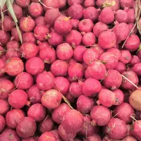 پوست و هسته انار