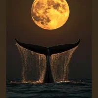 نیاز به کار