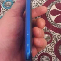 فروشی|موبایل|بجنورد, |دیوار