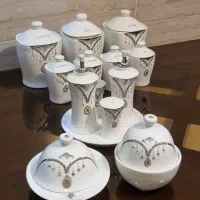 کامل ترین سرویس پاسماوری