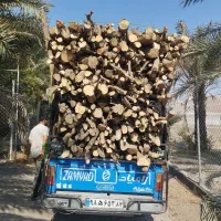 قطع و برش درختان از باغ دار با بالاترین قیمت