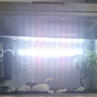 آکواریوم شیشه خم