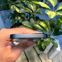 Iphone 13 مشابه آکبند|موبایل|اصفهان, باغ زرشک|دیوار