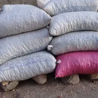 بلوط|خوردنی و آشامیدنی|سیوان, |دیوار