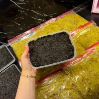 انواع فینگرفود ،کیک،شیرینی،رشته خشکار،ترشی|خوردنی و آشامیدنی|رشت, سعدی (تختی)|دیوار
