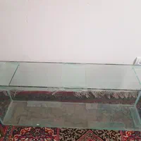 آکواریوم به همراه کمد|ماهی|کرمان, |دیوار