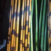 چوب بامبو....|مصالح و تجهیزات ساختمان|تهران, پیکان شهر|دیوار