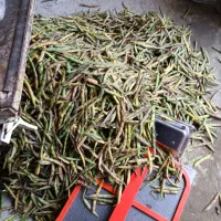 وانت بارباربری برای همه شهرها فروش بارشمالی|خدمات حمل و نقل|طاهرگوراب, |دیوار