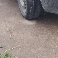 فروشی|خودرو سواری و وانت|نورآباد, |دیوار