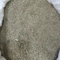 کراویه(زیره سبز)