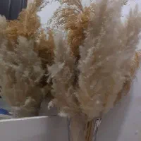 گلدان و باکس چوبی