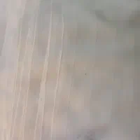 پارچه هتلی سفید۳متر عرض تخفیفی|رختخواب، بالش، پتو|بروجرد, |دیوار