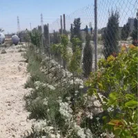 4800متر-زمین-در-روستای-ترشنبه-مالکم