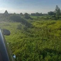 رفیق همیشگی(باغ پرندگان)