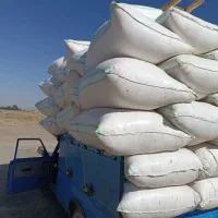 کاه گندم|حیوانات مزرعه|نیشابور, دهنو|دیوار