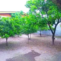 خونه باغی ۴۰۰متری.بافت مسکونی پول زمینشم نمیدی.